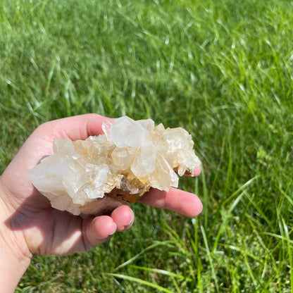 Cluster of golden quartz crystal points on matrix