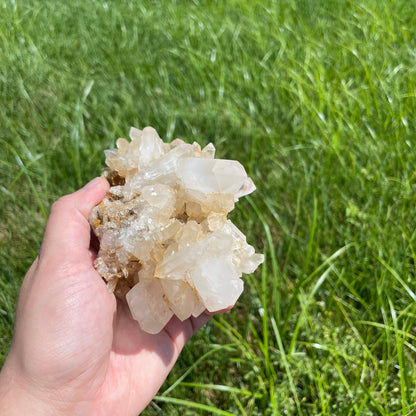 Cluster of golden quartz crystal points on matrix